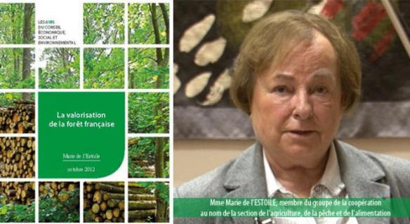 Vote de l'avis sur la valorisation de la forêt française