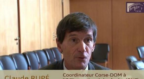 Questions à Claude RUPÉ auditionné par la délégation à l'Outre-mer 