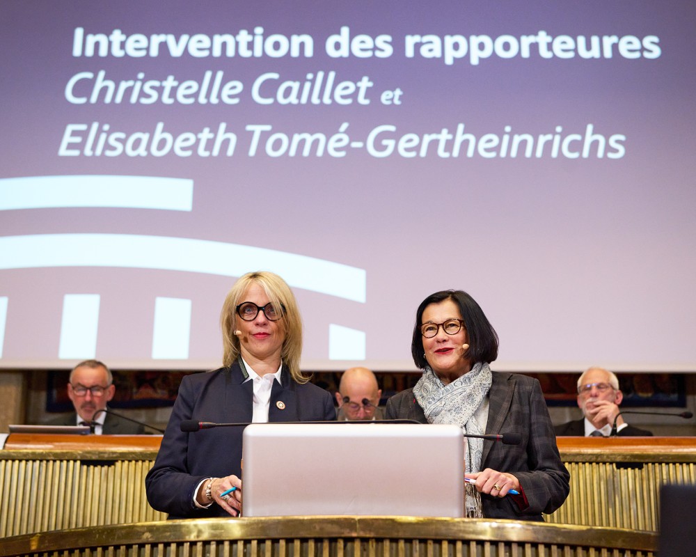 Christelle Caillet et Elisabeth Tomé-Gertheinrichs - Articulation des temps de vie professionnel et personnel : de nouveaux défis