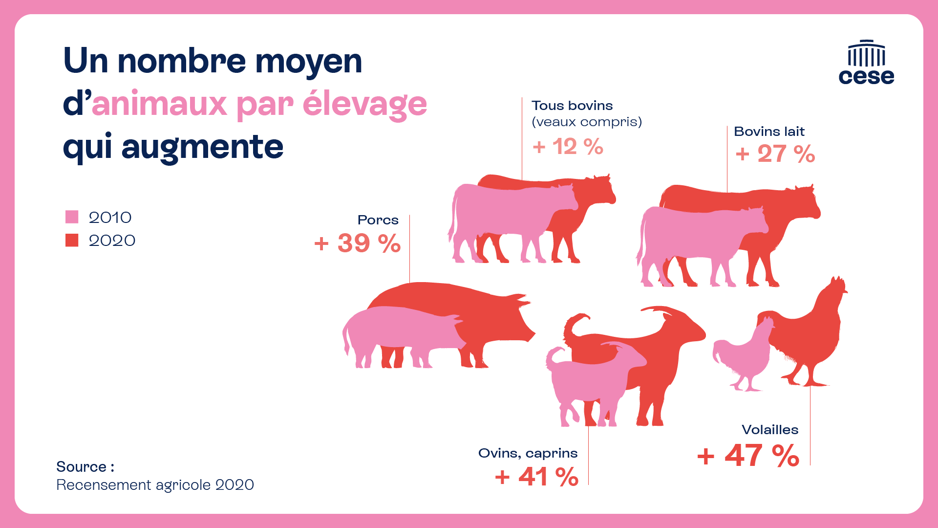 Graphique nombre moyen d'animaux par élevage
