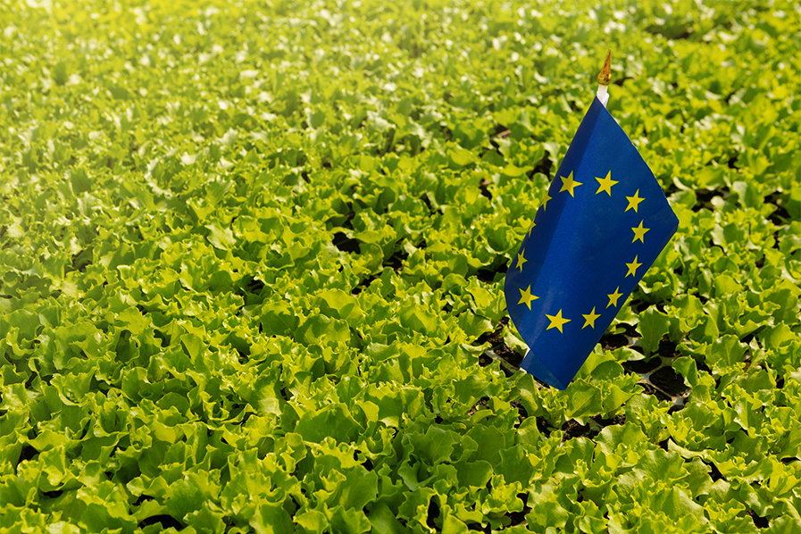 Quel avenir pour le Pacte vert pour l’Europe et ses citoyens ?