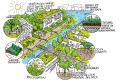 La nature en ville : comment accélérer la dynamique ? 