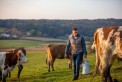 Relever les défis de l’élevage français pour assurer sa pérennité 