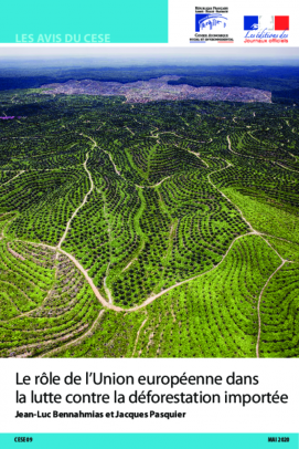 Le rôle de l'Union européenne dans la lutte contre la déforestation importée