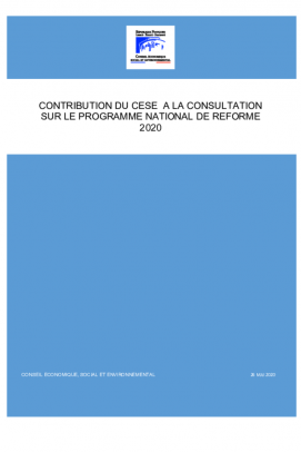 CONTRIBUTION DU CESE A LA CONSULTATION SUR LE PROGRAMME NATIONAL DE REFORME
2020