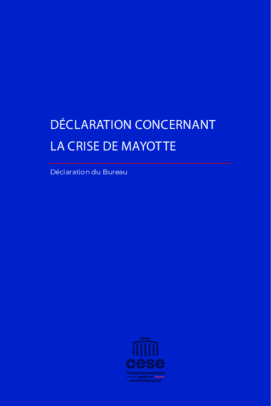 Déclaration concernant la crise de Mayotte
