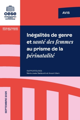 Inégalités de genre et santé des femmes au prisme de la périnatalité