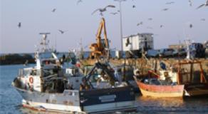 La future politique commune des pêches