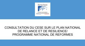 Contribution du CESE au Programme national de relance et de réforme (PNRR) 2021