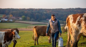 Relever les défis de l’élevage français pour assurer sa pérennité 