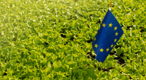Quel avenir pour le Pacte vert pour l’Europe et ses citoyens ?