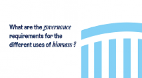 What are the governance requirements for the different uses of biomass?