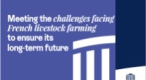 Meeting the challenges facing French livestock farming to ensure its long-term future