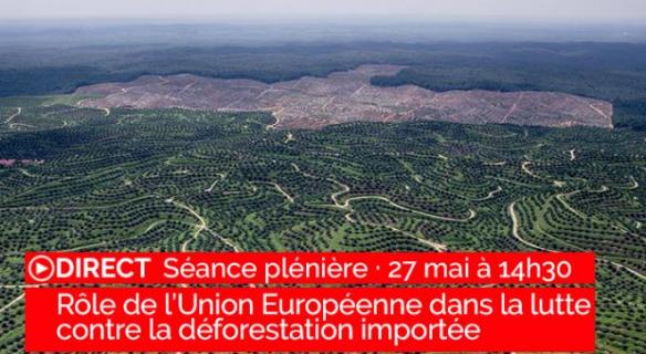 Le rôle de l'Union européenne dans la lutte contre la déforestation importée