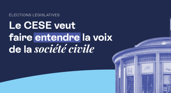 Élections législatives :  le CESE veut faire entendre la voix de la société civile  