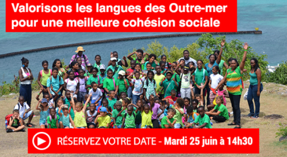 Séance plénière "Valorisons les langues des Outre-mer pour une meilleure cohésion sociale" 