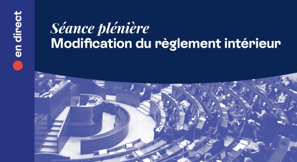 Visuel d'annonce de la séance publique consacrée aux modifications du règlement intérieur du CESE