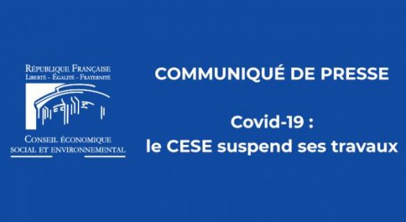 Covid-19 : le CESE suspend ses travaux