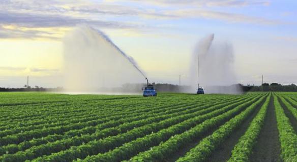 La gestion et l'usage de l'eau en agriculture