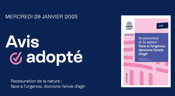 Avis adopté
