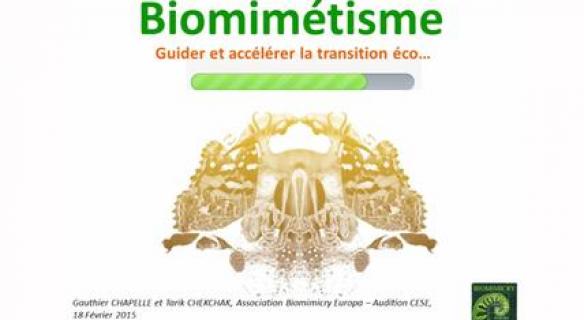 Audition de Tarick CHEKCHAK et Gauthier CHAPELLE (Biomimicry Europa)