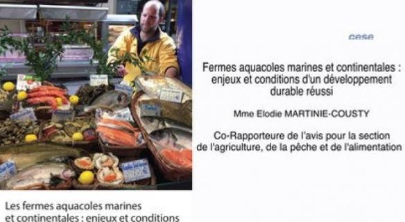 Le CESE s'est prononcé sur les fermes aquacoles marines et continentales 