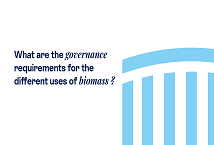 What are the governance requirements for the different uses of biomass?